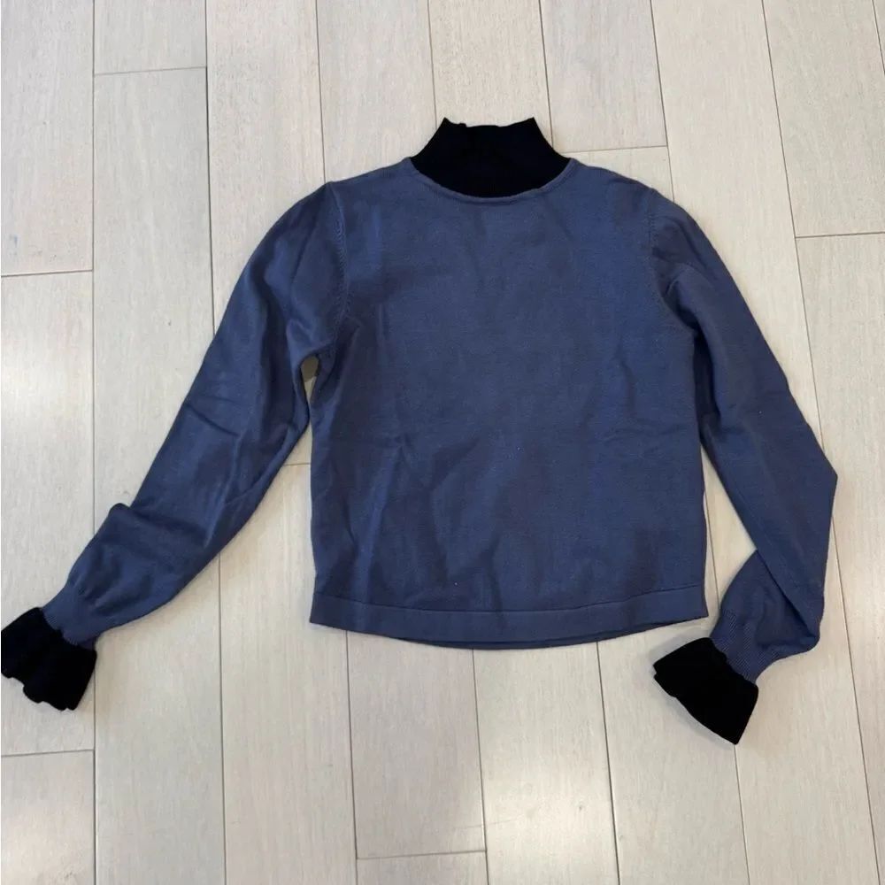 Blue magnetic turtleneck sweater